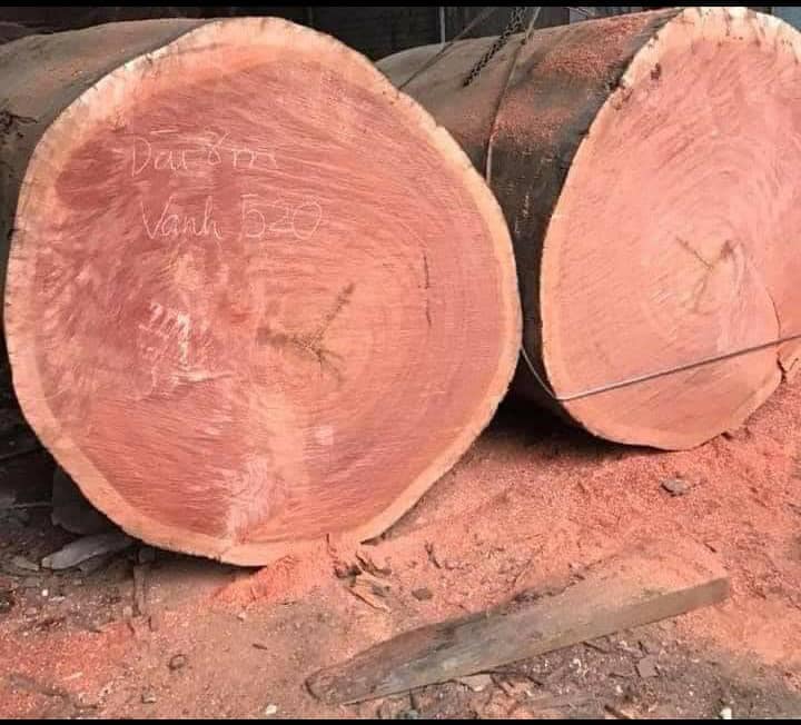 254256805_623609805311495_4413191663238560552_n