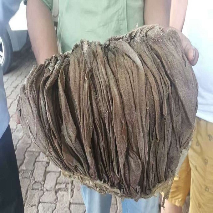 UTB84XcKv0nJXKJkSaiyq6AhwXXaF